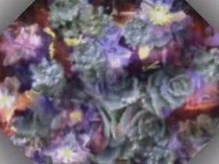 Покана за представяне на книга на Адриана Зарева