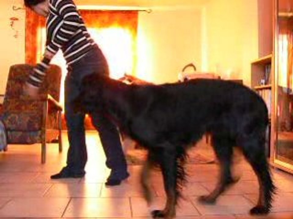 obérythmée le 22/11/08