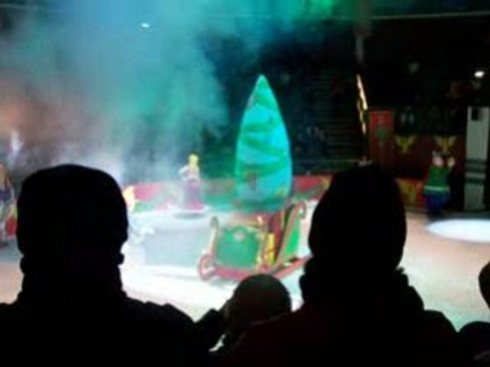 spectacle sur glace 4