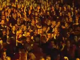 Sensation black 2006