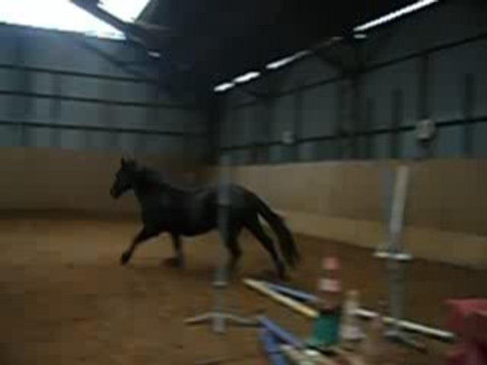 Melisse en forme