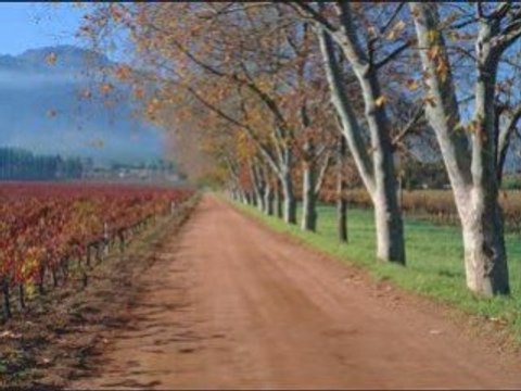 south africa luxury hotels | cape town south africa hotels