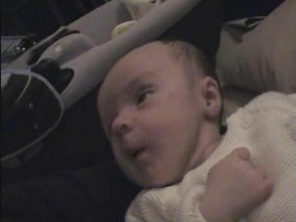 noah