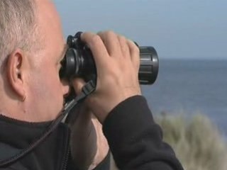 Northern Experience Wildlife Tours