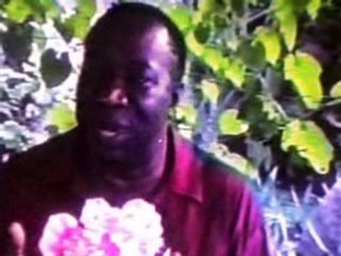 INTERVIEW TABU LEY 3