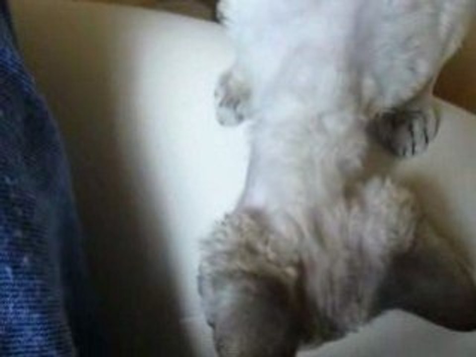 T'as de beaux yeux tu sais