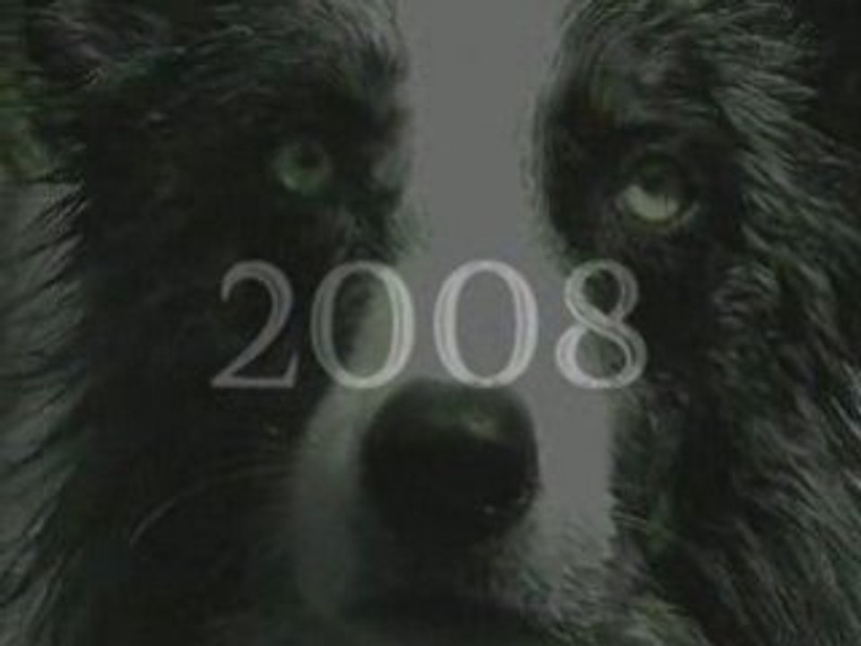 Blue Eyes fait sa Bande Annonce 2009 !