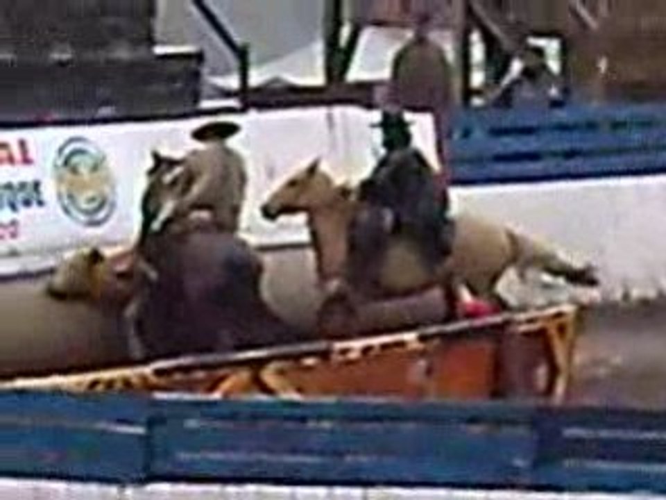 Coyhaiquerodeo