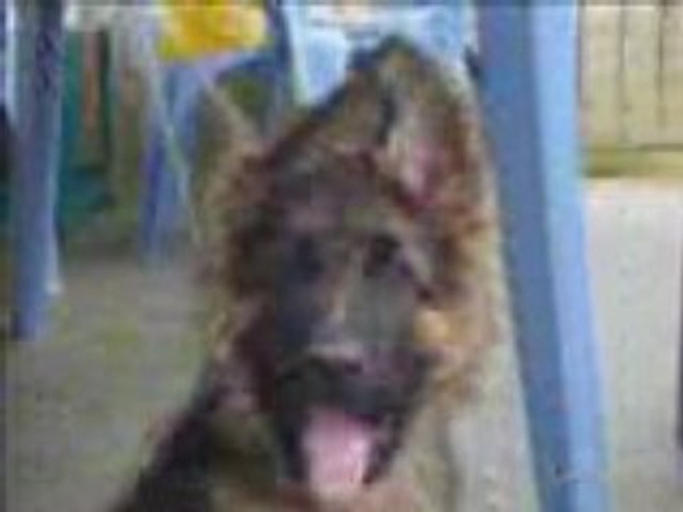 Dunkan video 2