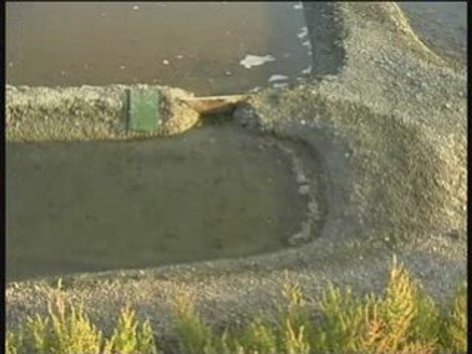 Vendée Globe - Ecole Saint-Augustin - Belleville-sur-Vie