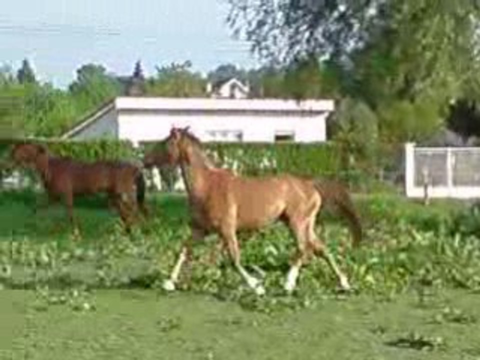 V190508_08.30