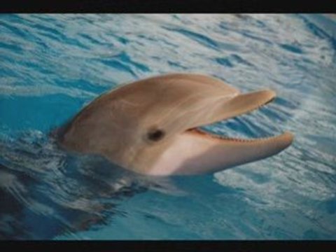 Fais moi une place - Julien Clerc