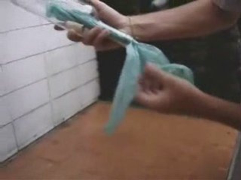 CLIP UMJ