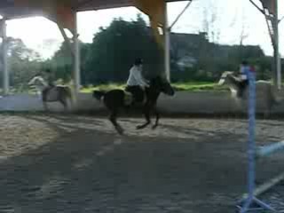 detente du 23 novembre 2008