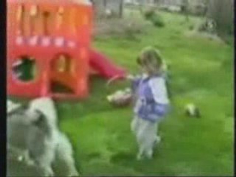 Vie de chien