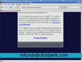 American Bulldog Training Tips