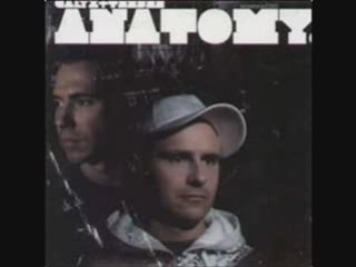 Calyx & Teebee feat. Mc Verse - Dual Processed