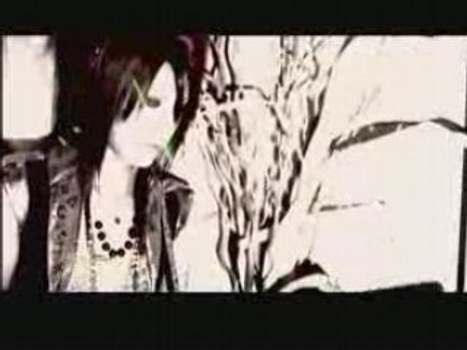 CindyKate - I LOVE CAT