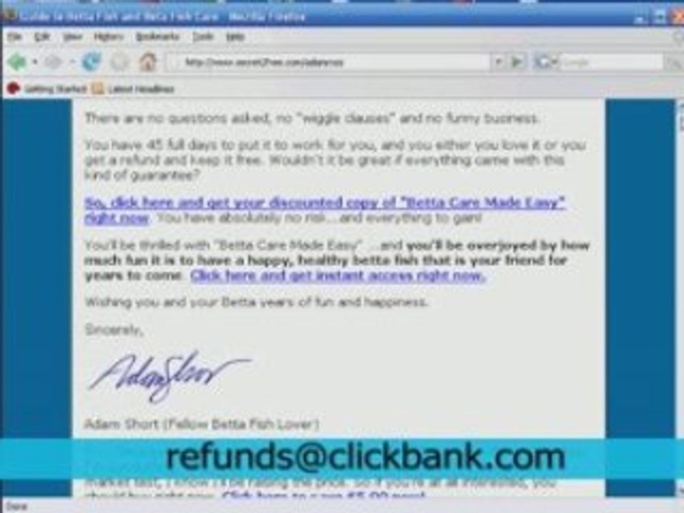 Feed siamese fighting fish