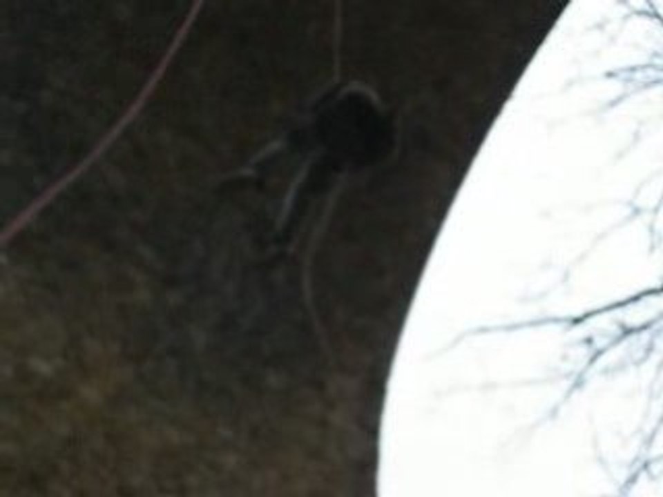 Descente en rappel Viaduc fauvettes - Feop puit