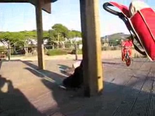 K  16 Novembre 08 promenade aux sablettes