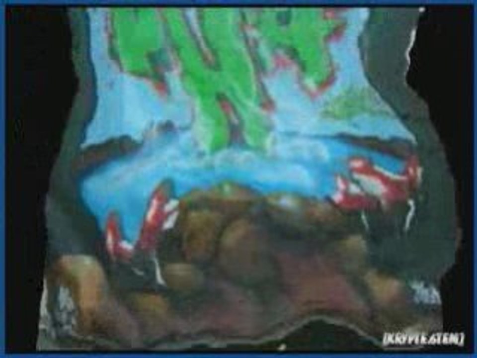 Montage tekos 2006 Bourge