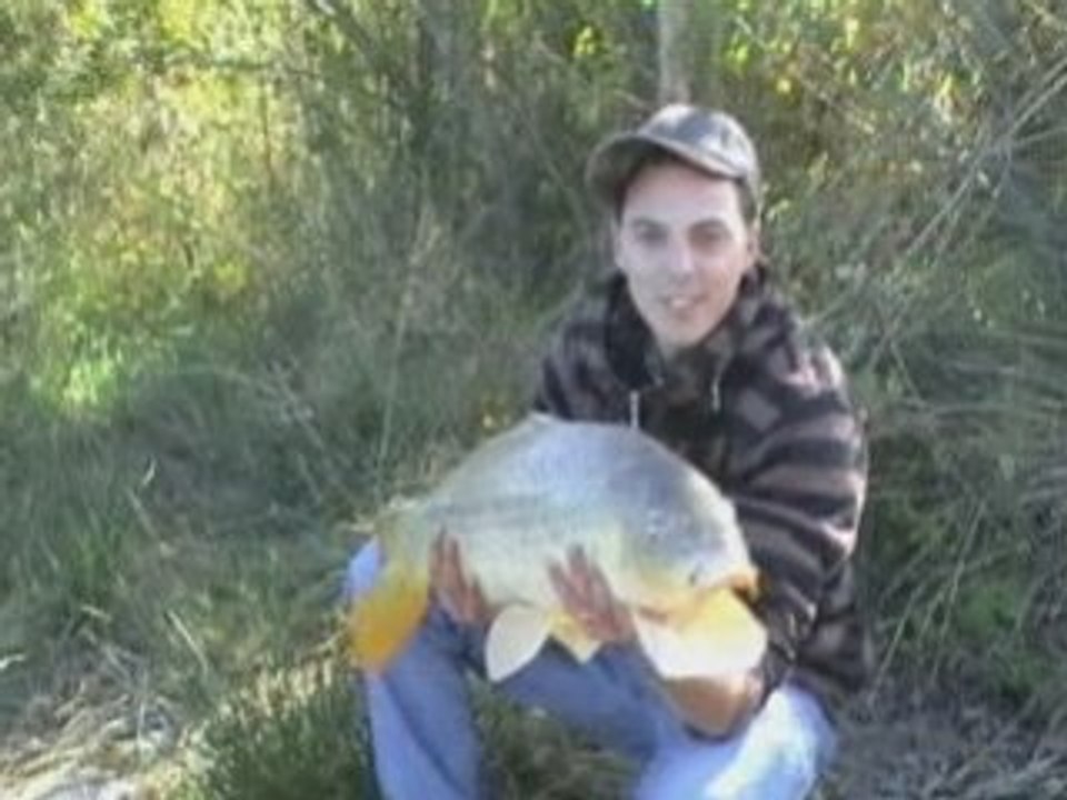 fish to live 31