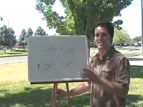 Internet Marketing For Beginners: Copy The Right Cat