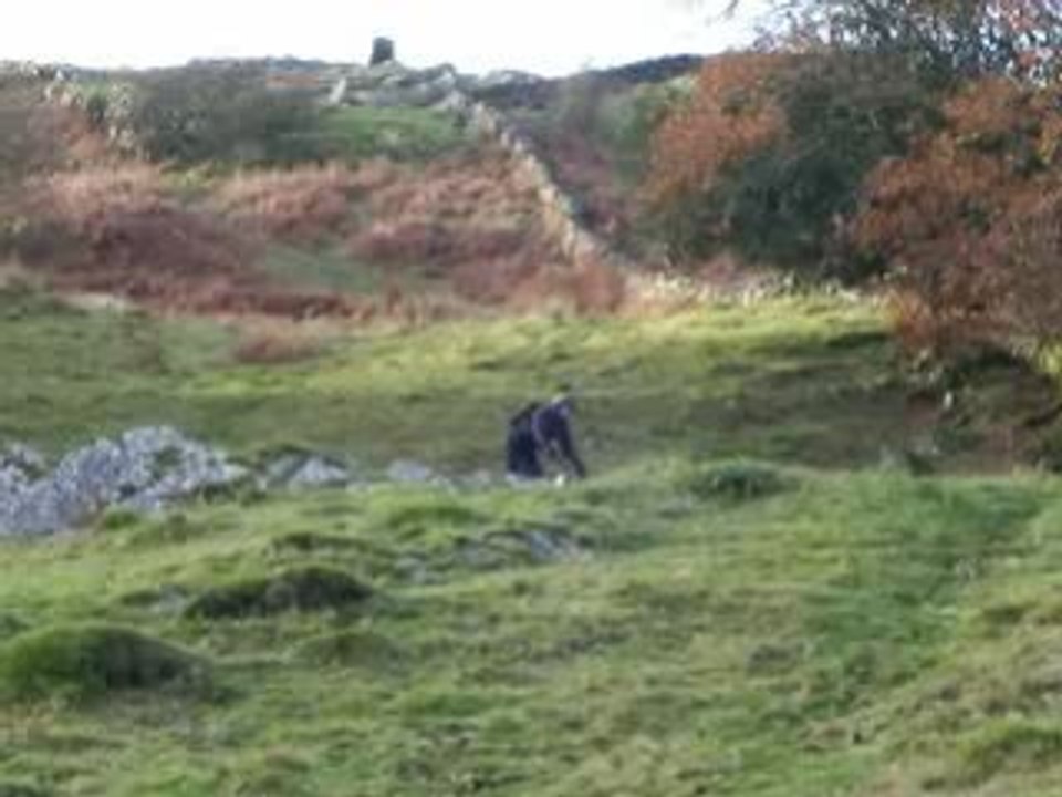 VTT descente