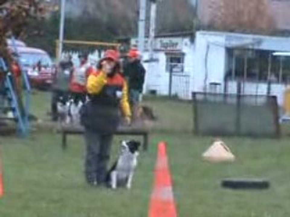 Photo 004