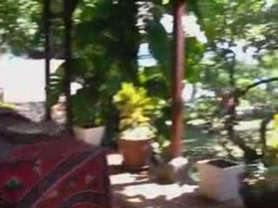Villa petite baleine à l'ile Maurice