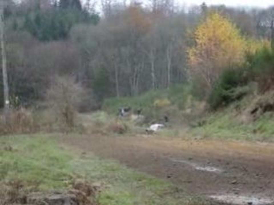 MOV01593