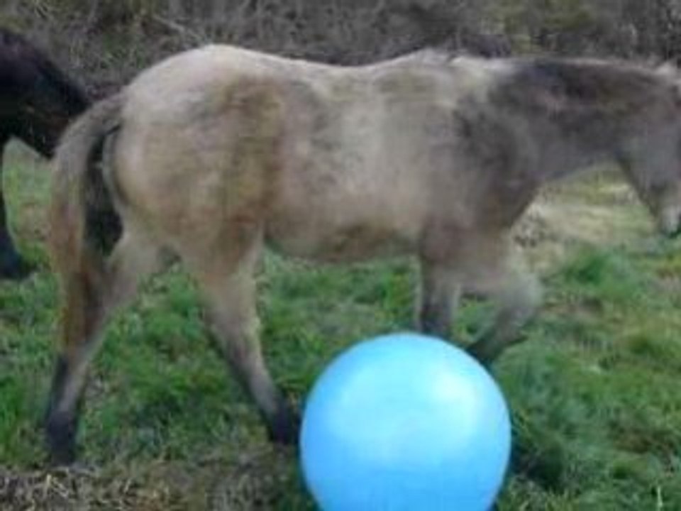 uria et le ballon