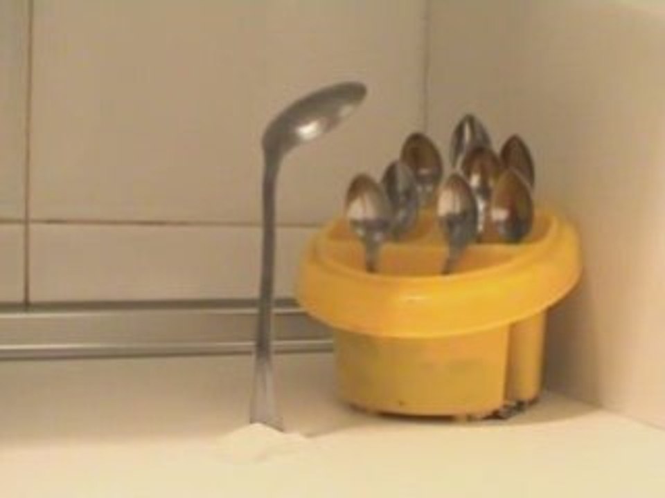 COCINA SALVAJE-Stop motion