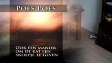 poespoes
