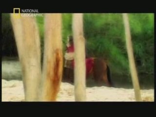 Le da  vinci  code  1  5