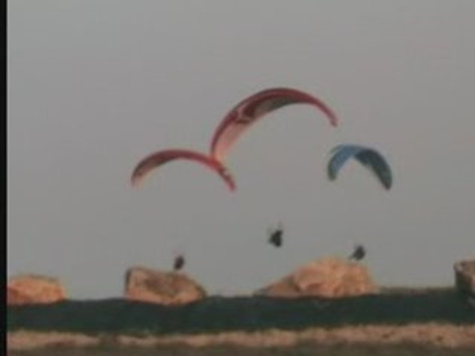 Paraluc3