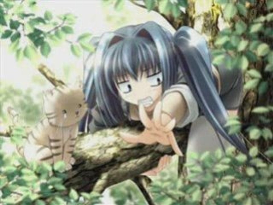 Manga *cheveux couleur*