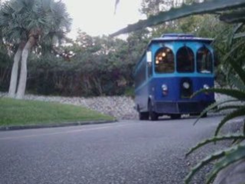 FreeBorD  BerMuDa SeSSioN