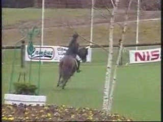 Impérial du Blin, Sans Faute à FONTAINEBLEAU