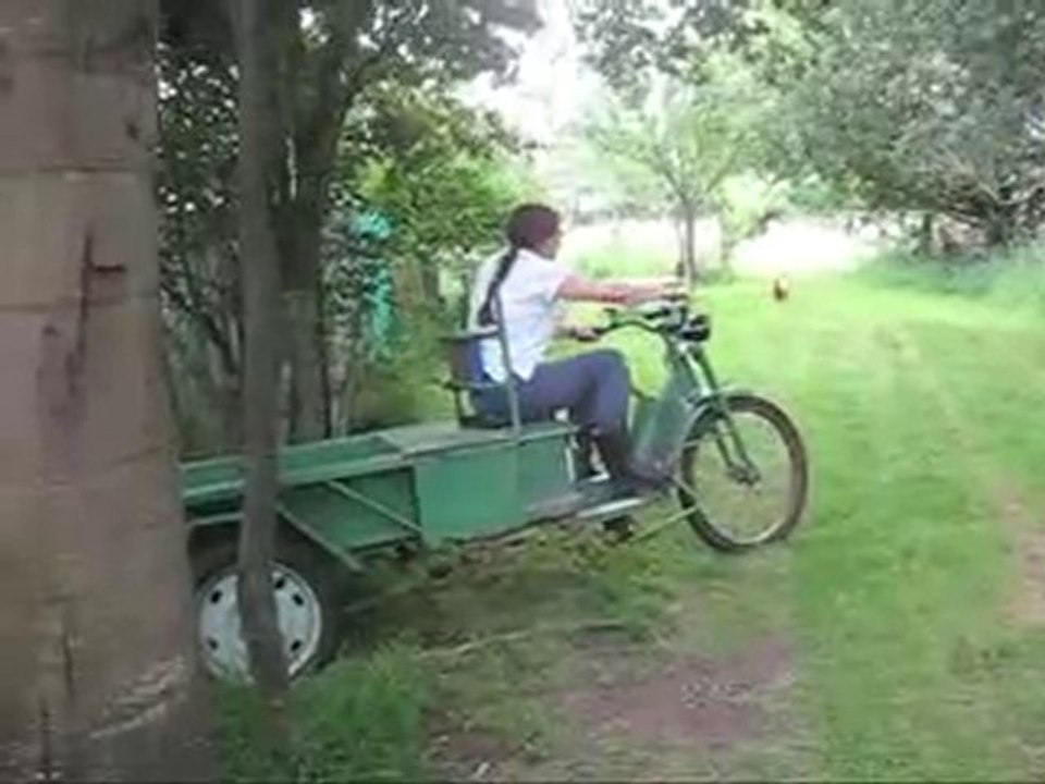 Trike vert