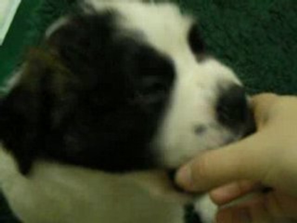 Des bb tout plein de bb