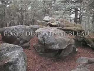 Randos-07-Fontainebleau