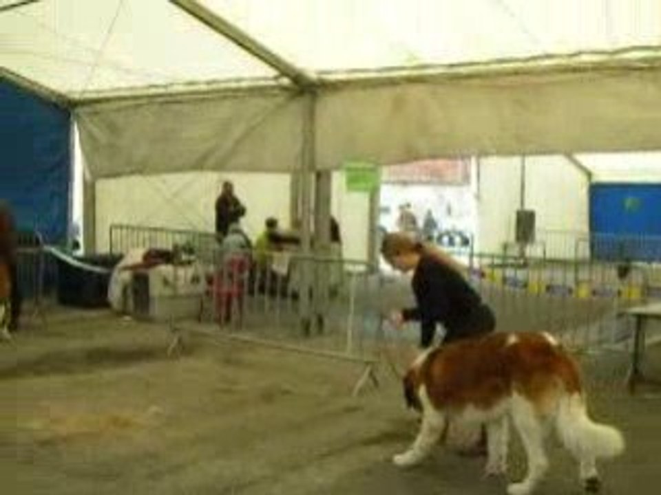 Tentative de déplacement sur le ring