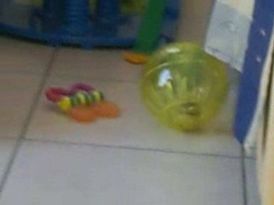 CIMG4583_mpeg4