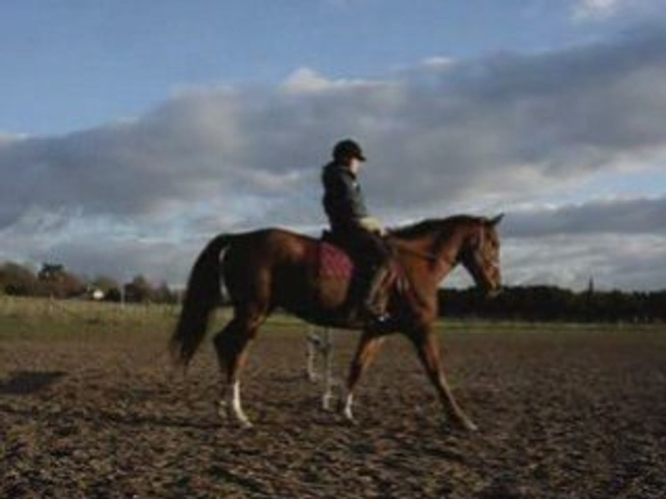 Oceane, saut en licol