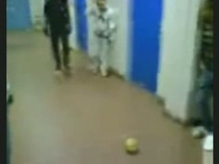 reynerie ronni de teci