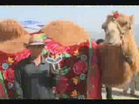 Gifts For Travelers | Christmas Gift Ideas for Travelers