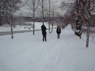 Bhtssony23nov 011