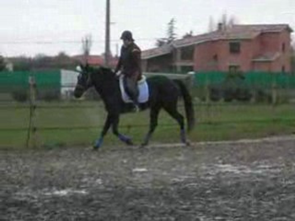 DSCN1832